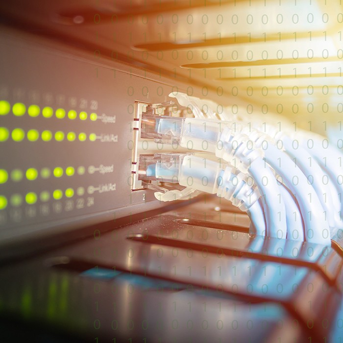 Qoltec Modułowa zaciskarka do cięcia i zaciskania kabli Ethernet 8P 6P  widok 6